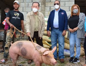 Feda  entrega  cerdas a  campesinos  de Azua