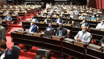 Diputados PLD rechazan línea de su dirigencia a favor de «tres causales»