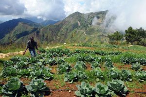 Haití registra una ligera recuperación de las actividades económicas