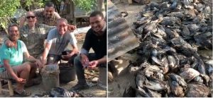 Acusan formalmente a tres personas por muertes cientos aves migratorias