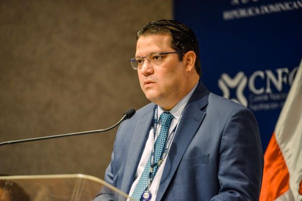 Aduanas promete reducir a 24 horas el retiro de carga de los puertos de RD imagen