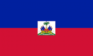 Divulgan novedades en anteproyecto de la nueva Constitución en Haití