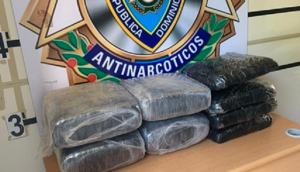 DICAN ocupa 25 kilos marihuana en microbús tramo carretera Azua-Bani