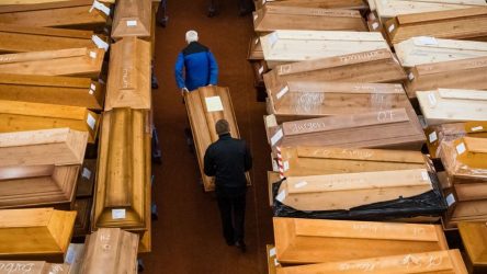 OMS confirma más de 2 millones de personas han muerto por la covid-19 OMS confirma más de 2 millones de personas han muerto por la covid-19