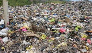 Vuelve el problema de Duquesa; la peste de la basura invade vecindarios