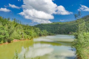 Falcondo recertificada con estándares internacionales de gestión ambiental Falcondo recertificada con estándares internacionales de gestión ambiental