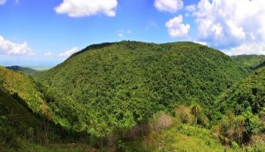 Falconbridge desiste de explotar la loma Miranda, dice Medio Ambiente