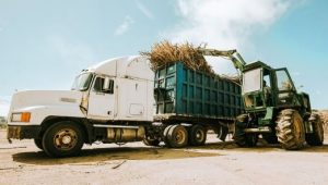 Dirección de Jubilaciones entrega cheques a pensionados de la caña Dirección de Jubilaciones entrega cheques a pensionados de la caña