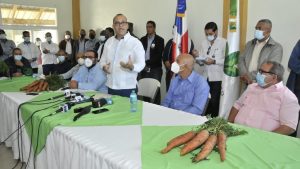 Agricultura compra 55,000 quintales zanahorias a productores Constanza