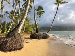 Hay creciente erosión en playa Las Terrenas, advierte exministro Turismo