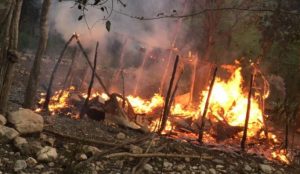 Incendian casuchas de haitianos en represalia por asesinato de agricultor