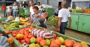 PLD culpa equipo agropecuario del Gobierno de alza y escasez productos
