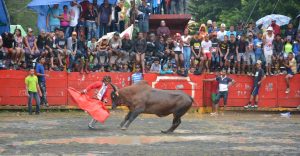 Diputados aprueban ley declara corrida de toros en El Seibo patrimonio cultural inmaterial de RD