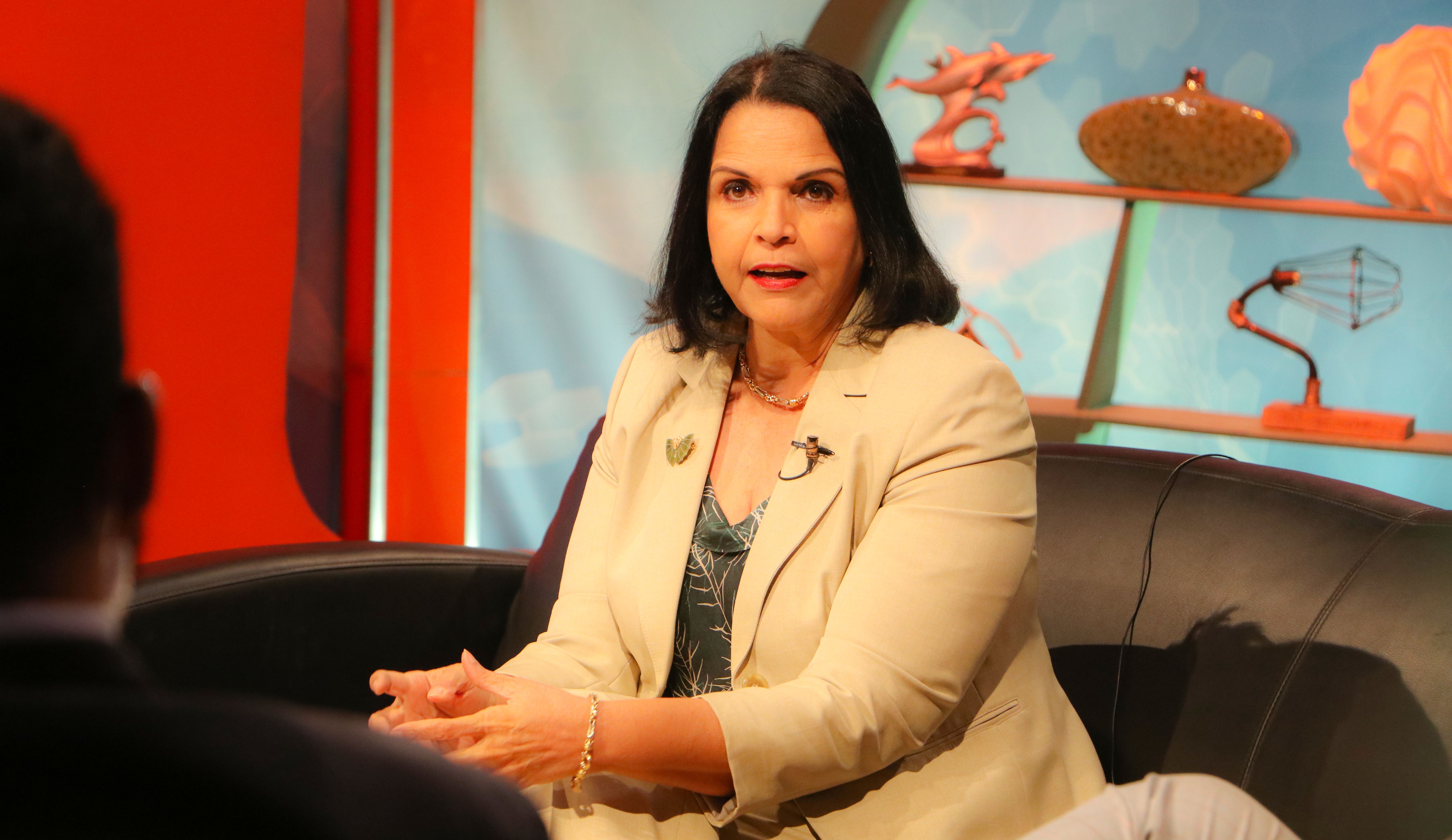 Minou: “Gobierno del PRM debe garantizar derecho a la protesta” imagen