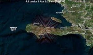 Terremoto de magnitud 4,6 grados Richter sacude suroeste de Haití