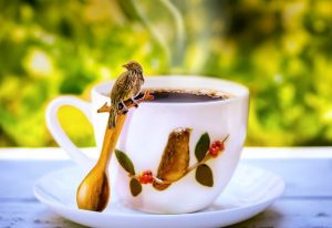 Café Mamá Candín lanza colección de tazas y cucharitas inspiradas en aves