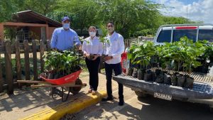 Albadom reforesta y entrega cientos de plantas de café en loma Angostura
