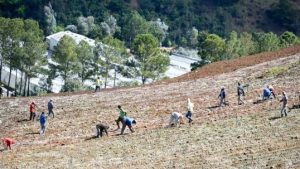 Medio Ambiente prohíbe de manera permanente agropecuaria Valle Nuevo