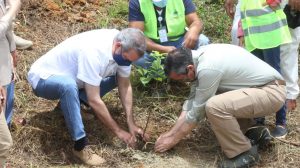 OCOA: El Gobierno inicia Plan Manejo Integral de las Cuencas Hidrográficas