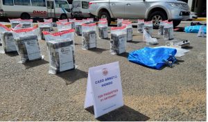 DNCD decomisa 169 paquetes cocaína residencial Villa Isabel Arroyo Hondo