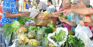 El Gobierno aumentará de 12 a 36 los mercados de productores de Inespre