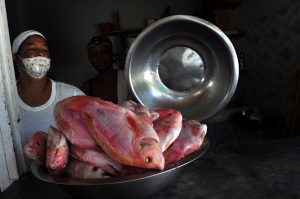 Chef Martín Omar ayuda a fritureros de la plaza del pescado en Boca Chica