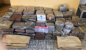 SAN JUAN: Autoridades se incautan de más de 2,000 libras de marihuana