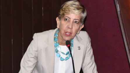 Senadora Ginette Bournigal condena método protestas del diputado Botello