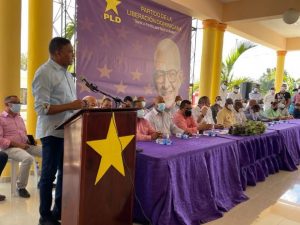 Senador PLD tipifica Gobierno como «rey de improvisación e incoherencia»