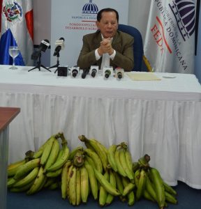 FEDA anuncia “Semana del Consumo de Plátano” del 4 al 10