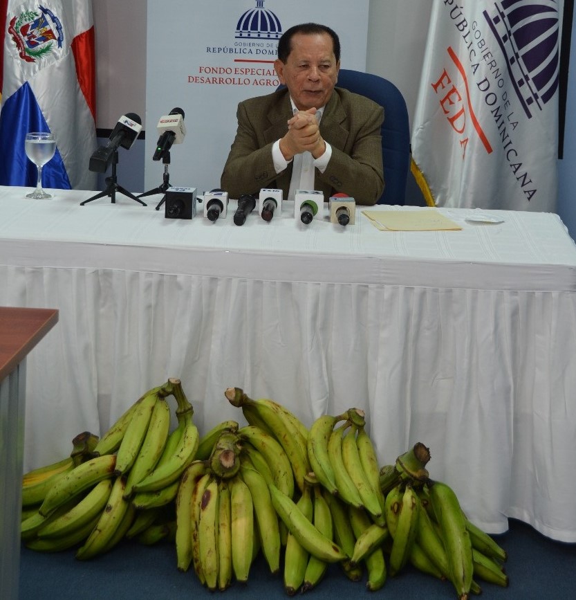FEDA anuncia “Semana del Consumo de Plátano” del 4 al 10 imagen