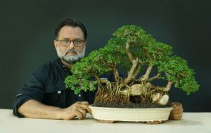 Presentarán exposición de bonsáis con más de 60 muestras

 