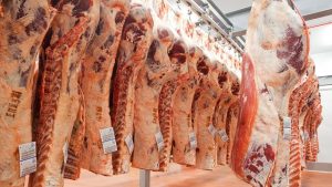 RD aspira exportar US$690 MM de carne; EU vigilará mataderos