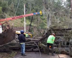 SANTIAGO: Edenorte dice salida circuitos es por vientos y lluvias