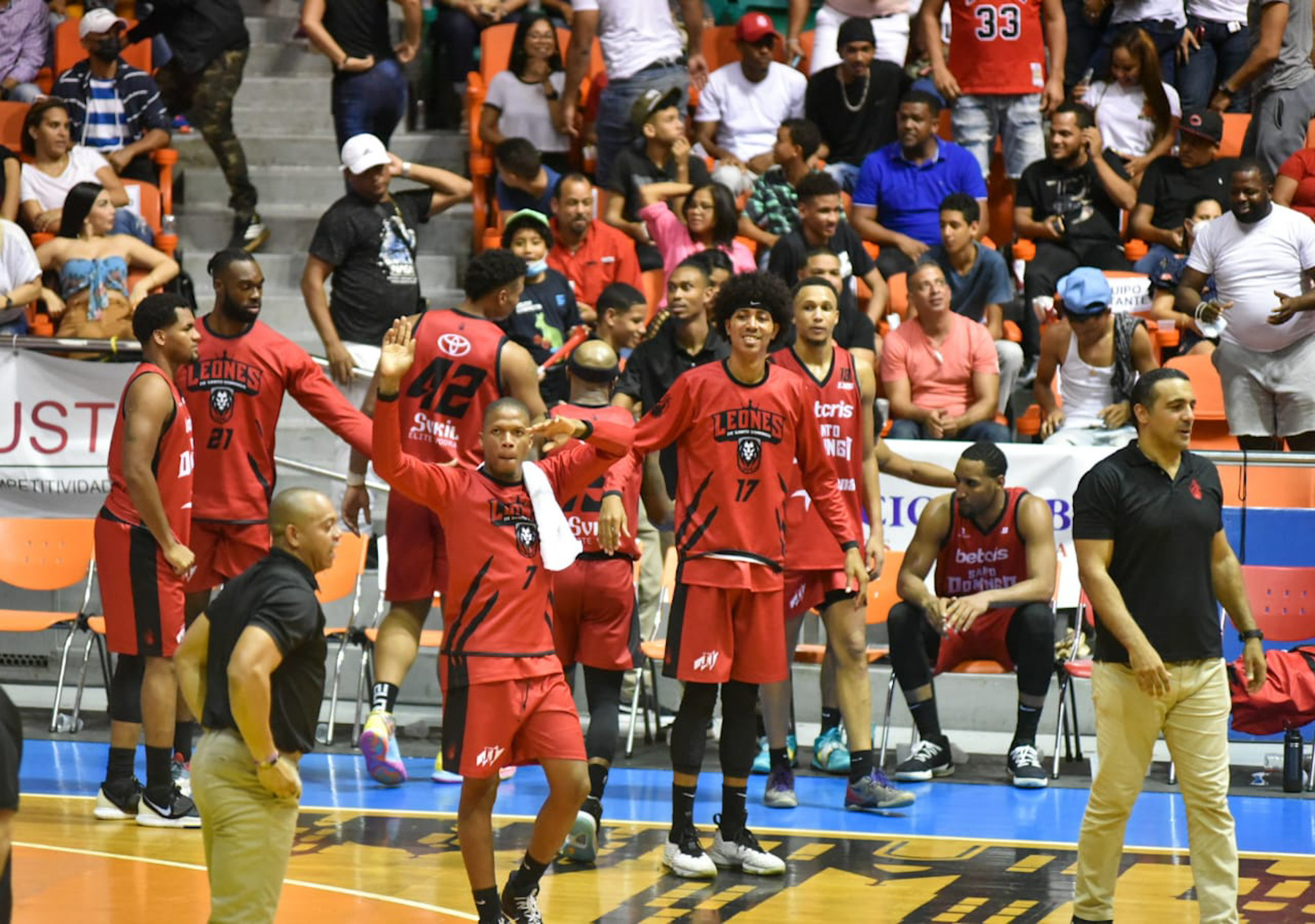 Leones de Santo Domingo barren a Metros de Santiago en la LNB |   - Noticias de República Dominicana al instante!