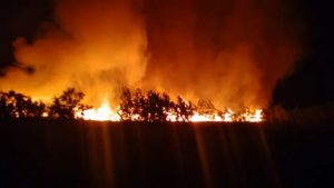 LA ALTAGRACIA: Incendio afectó manglares de una zona Cap Cana