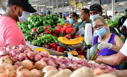 Ministro garantiza abundancia productos agrícolas en Navidad Ministro garantiza abundancia productos agrícolas en Navidad