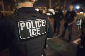 Agentes del ICE comienzan a usar 
cámaras durante sus servicios