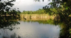 Ejecutivo crea reserva natural en los humedales de Laguna Prieta
