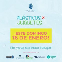 ADN anuncia reposición evento intercambio plásticos y juguetes ADN anuncia reposición evento intercambio plásticos y juguetes