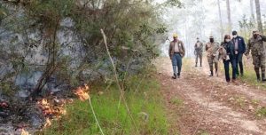 Trabajan en sofocar tres incendios forestales en Sierra de Bahoruco