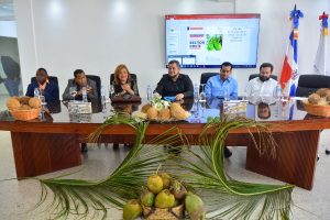 Gobierno dice relanzará cultivo del coco con inversión RD$883 millones