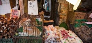 OMS pide no vender mamíferos salvajes vivos junto a alimentos