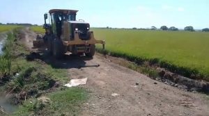 IAD, Agricultura y Desarrollo Fronterizo reparan caminos en Montecristi