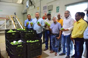 BANI: FEDA anuncia apoyo a los productores de mango la región