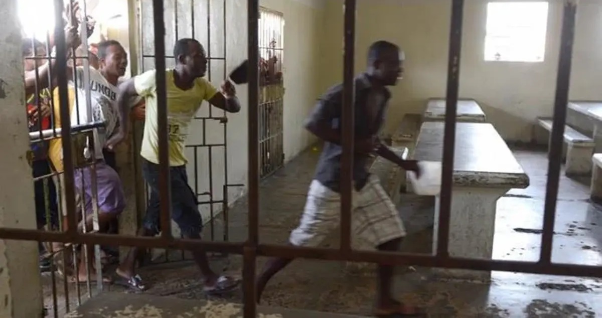 En RD hay 1,464 haitianos presos, 306 por homicidio y 285 por robo | AlMomento.Net - Noticias al Instante en República Dominicana.