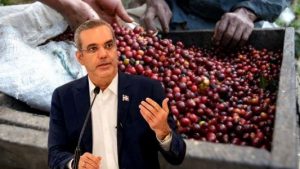 Gobierno exonera a cafetaleros pago deuda de RD$397 millones