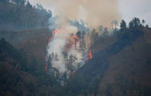 Se produce incendio forestal en zona de Constanza, La Vega