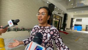 Diputada dice Gobierno no tiene ningún plan ante problemas RD