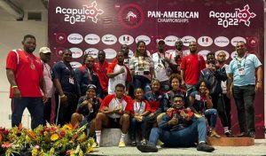 Lucha obtiene ocho plazas a los Juegos Panamericanos de Chile